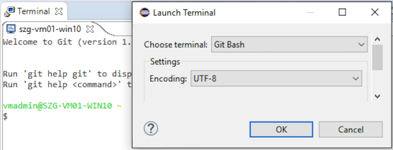 Terminal Git Bash.png